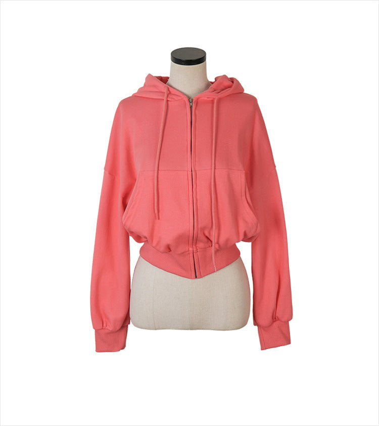 Versatile Thin Hooded Sweater Coat Women's Cotton